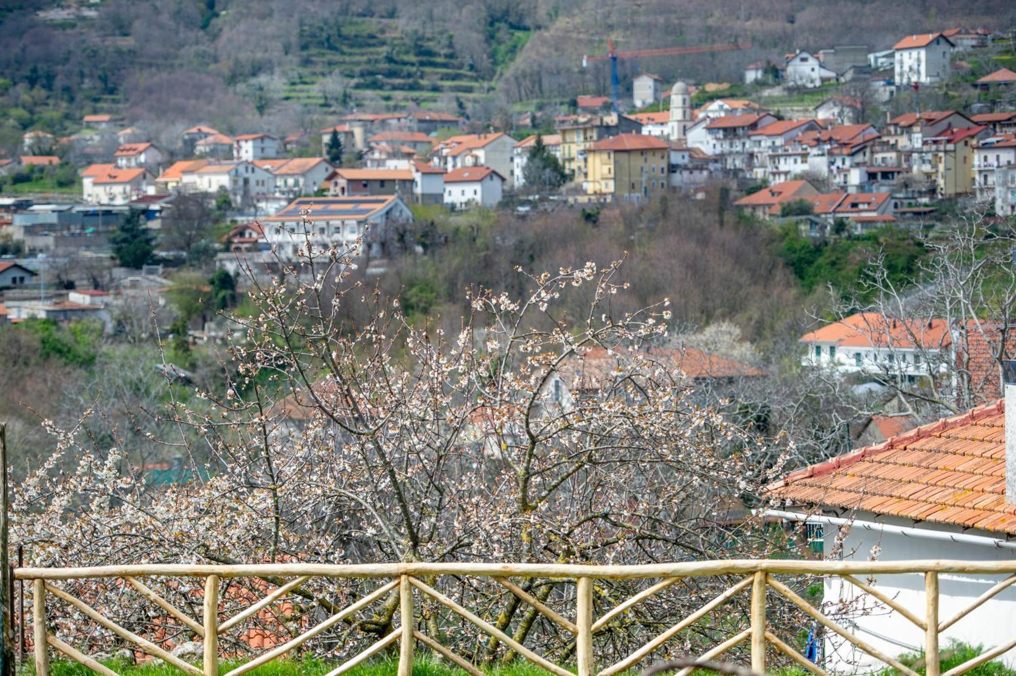 Appartamenti Aria Di Verde 아제롤라 외부 사진